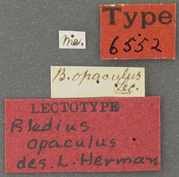 Media type: image;   Entomology 6552 Aspect: labels